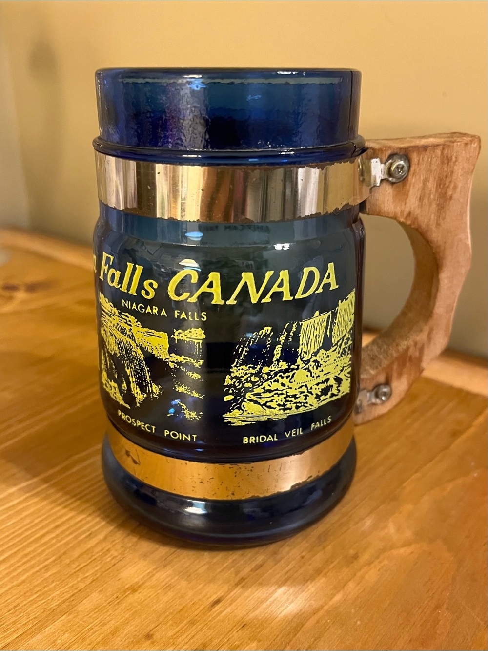 Vintage Siesta Ware Mug - Niagara Falls Canada Souvenir Mug blue Glass Mug